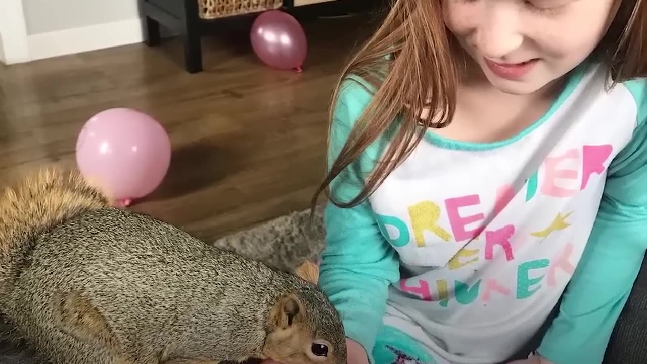 Woman Rescues Baby Squirrel — Then Becomes A Complete Squirrel Mom | The Dodo