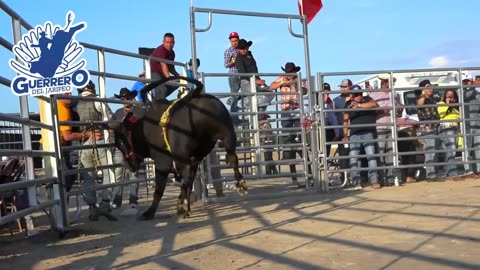 son toros dificil de quedarles ; los destructores de memo ocampo por primera vez en michigan