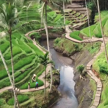 Most beautiful places in Bali #shorts #travel #explore #adventure