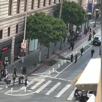 Vdeo of a man with a cleaver, who is refusing to get out of a tree in DTLA.