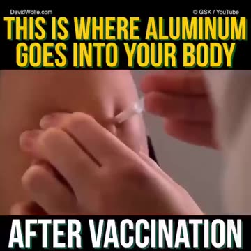 Where Toxic Aluminum In JABS Goes In Your Body !!!