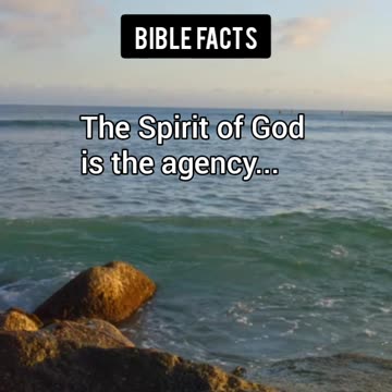 Holy Spirit | Pt.7 | Exploring The Godhead: What You Won’t Believe!