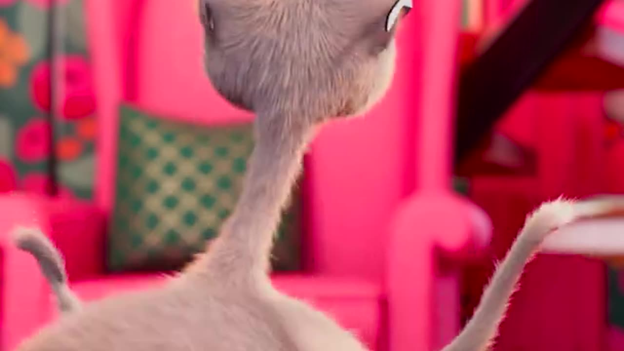 funny cat dancing