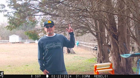 risk taking content creator