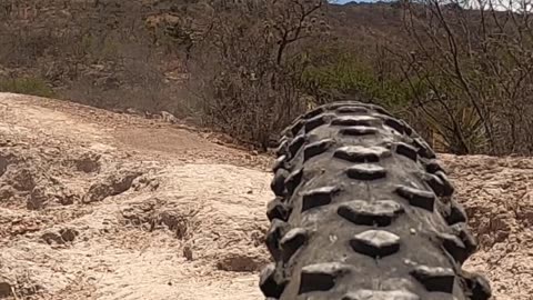 POV Rear Tire MTB