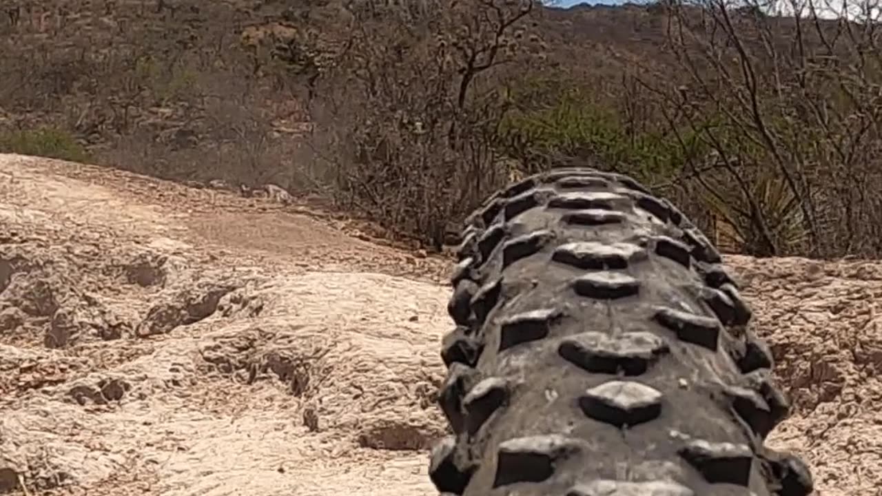 POV Rear Tire MTB