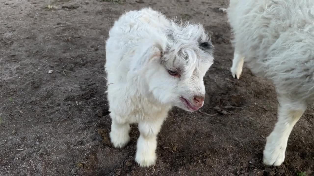When you get what you want, but not what you need