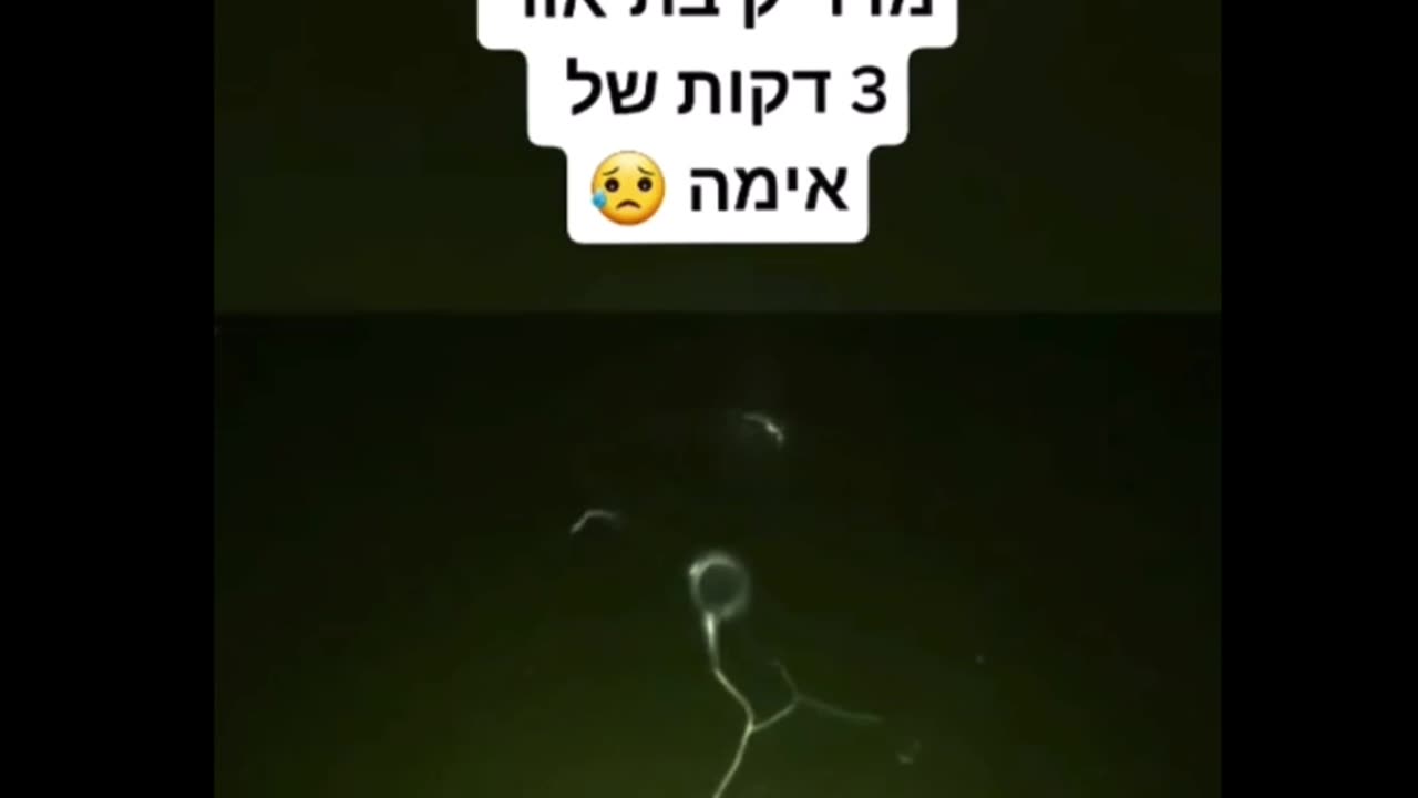 They always tell you in the movies what’s coming