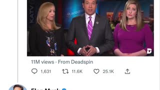 Elon Shining Light on the Mockingbird Media