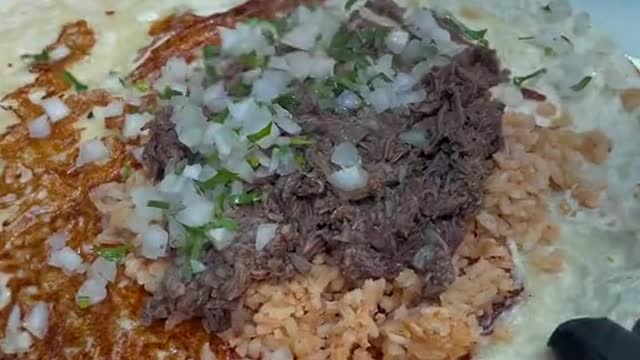 How much would you pay for this Birria burrito Got it from