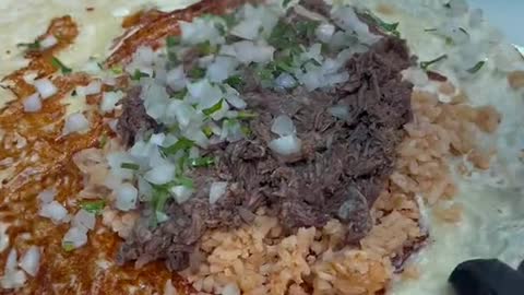 How much would you pay for this Birria burrito Got it from