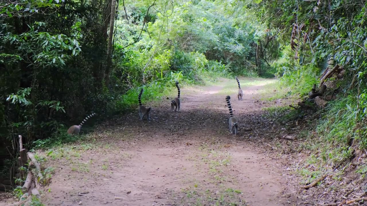 Peaceful Nature