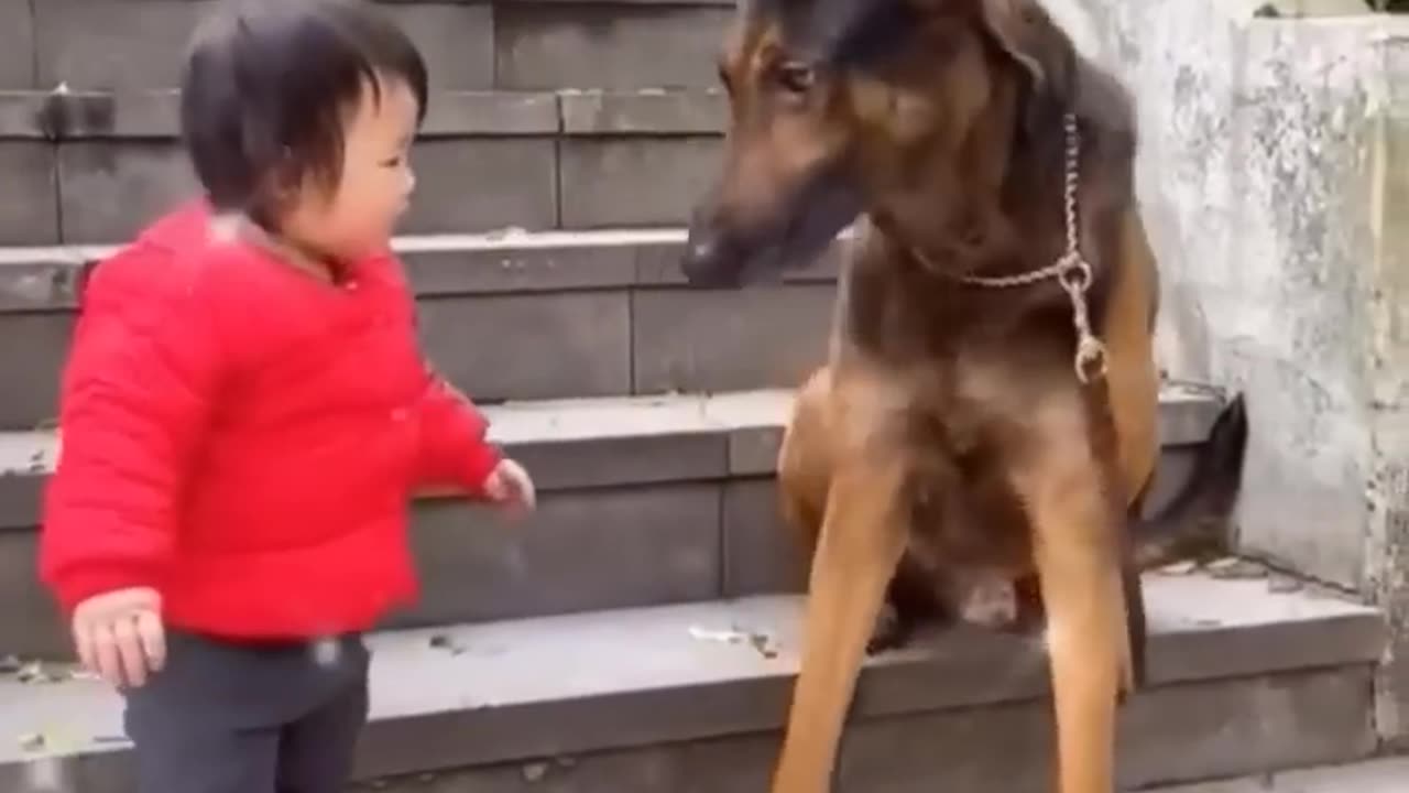 The Cutest Babysitter Ever! 🐶👶💞#cutebaby #dog