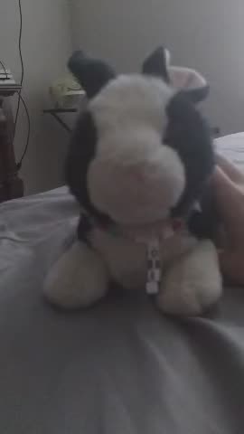 You have 30 seconds...