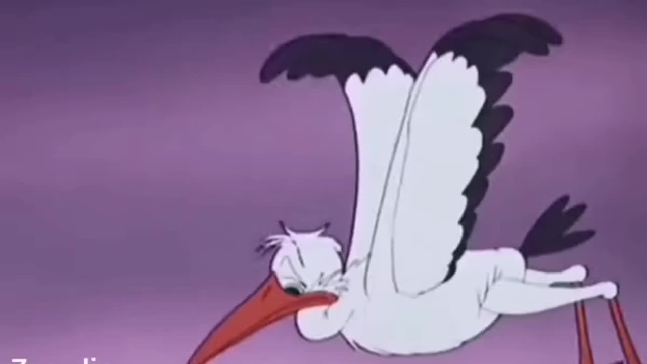 Cartoons