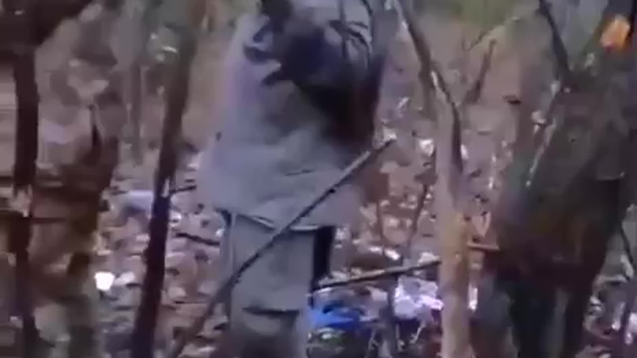 Why do people call them orcs? Sometimes it is 100% matches reality.