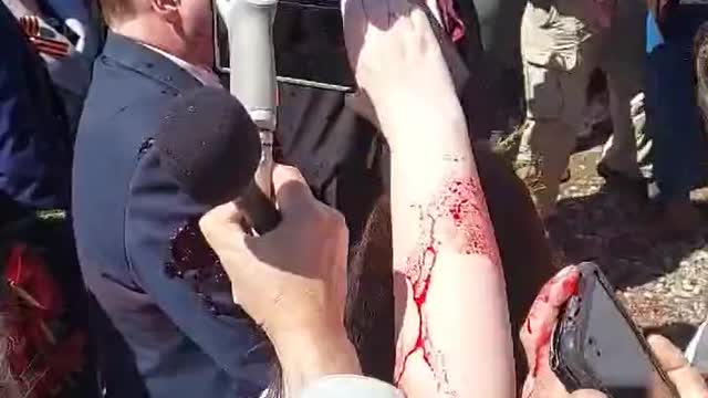 The Russian ambassador to Poland was attacked during an attempt to lay flowers at the cemetery..