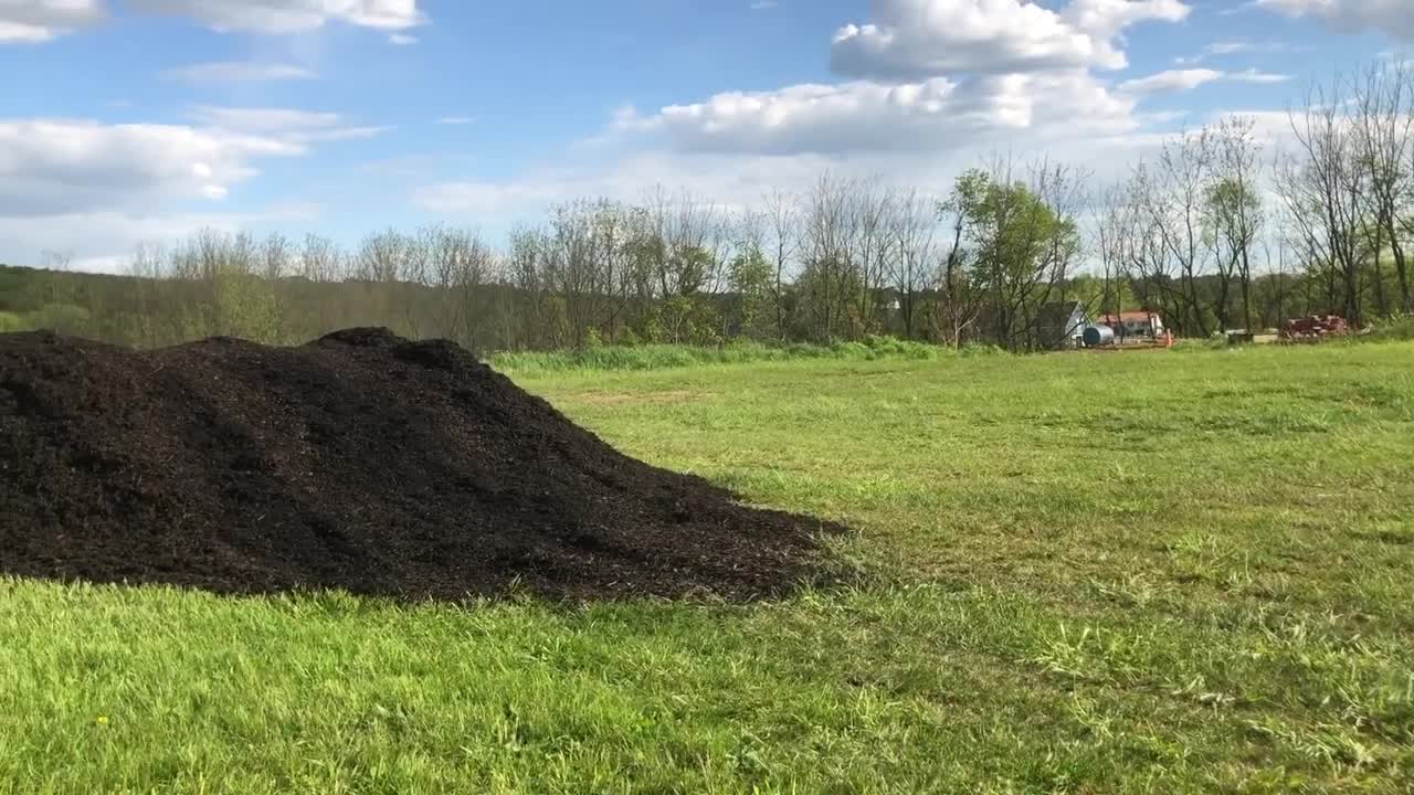 Talon Mulch pile