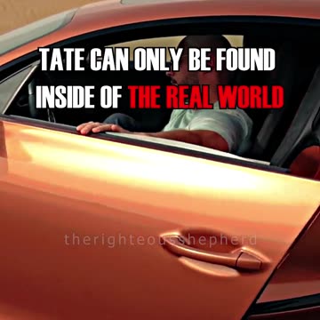 What's TATE Doing Right Now?