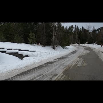 On a Hike and came across a Deer. Memorized by my Hike Pole.