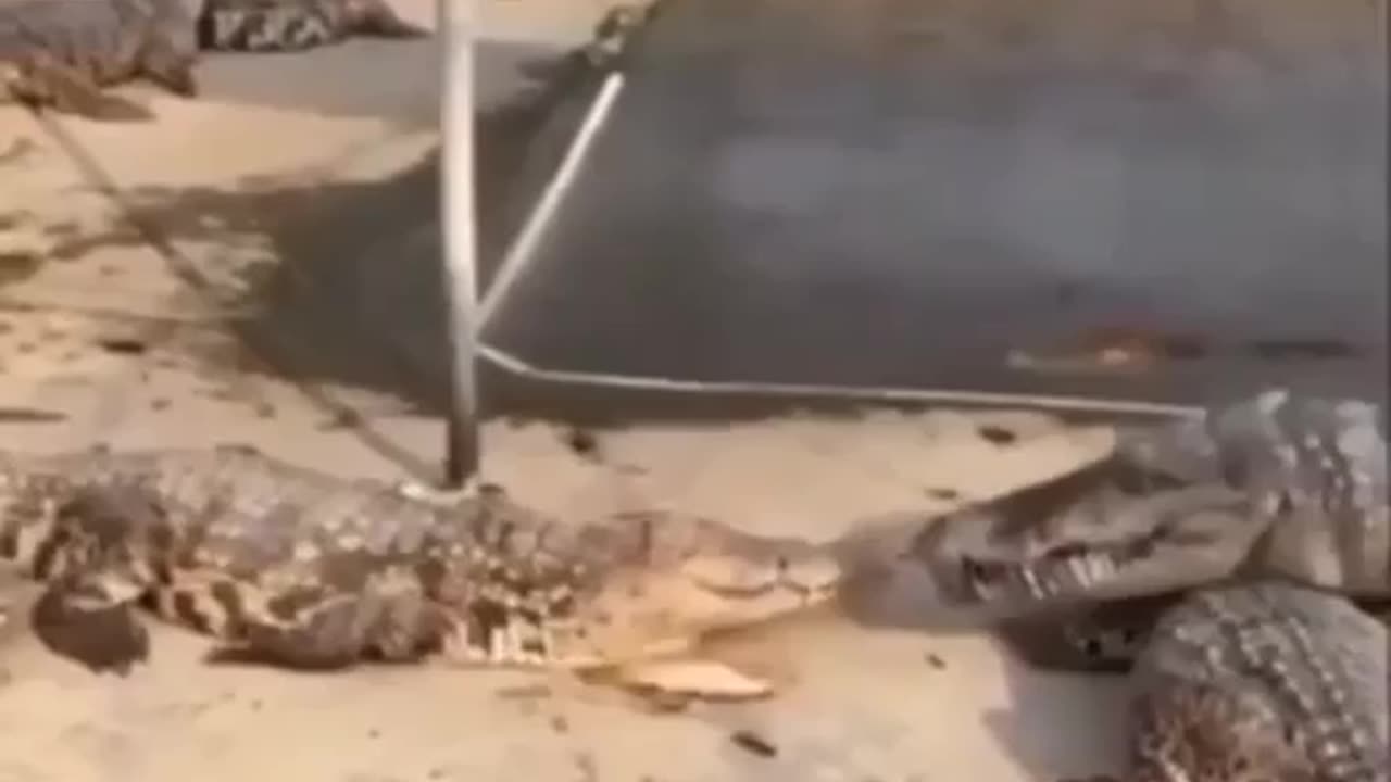 It Was Not Its Minute To Go