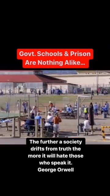 You will never think about schools the same.