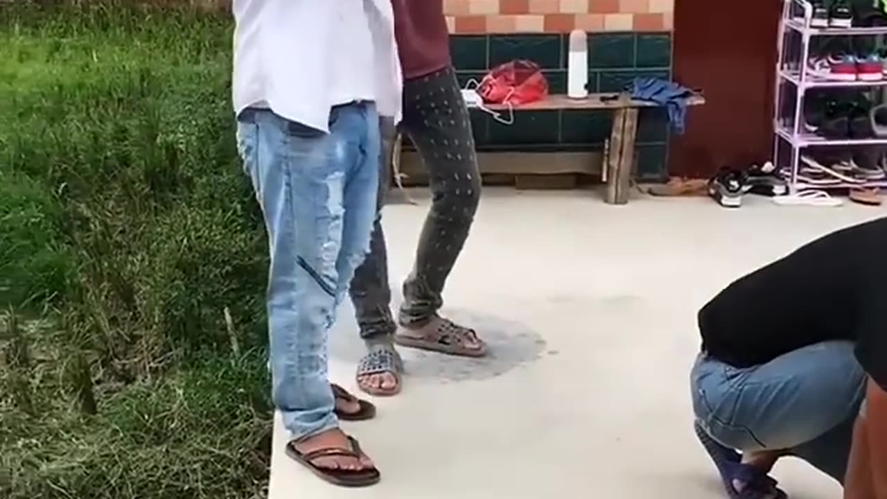 Funny Video -2023