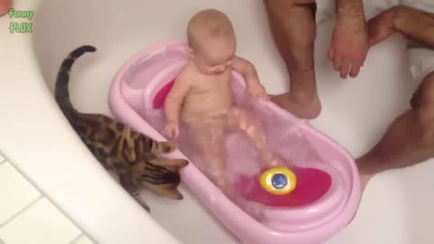 Kittens and Babies Playing Together Compilation