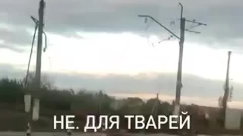 Outskirts of Artemovsk. Fighting and shelling continues.