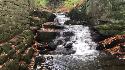 Stream Water Nature Natural Stone Rock Outdoor