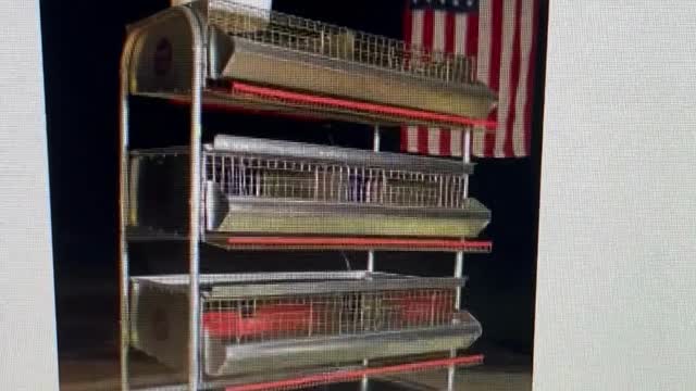 Which Multi Level Quail Cages Should I Buy