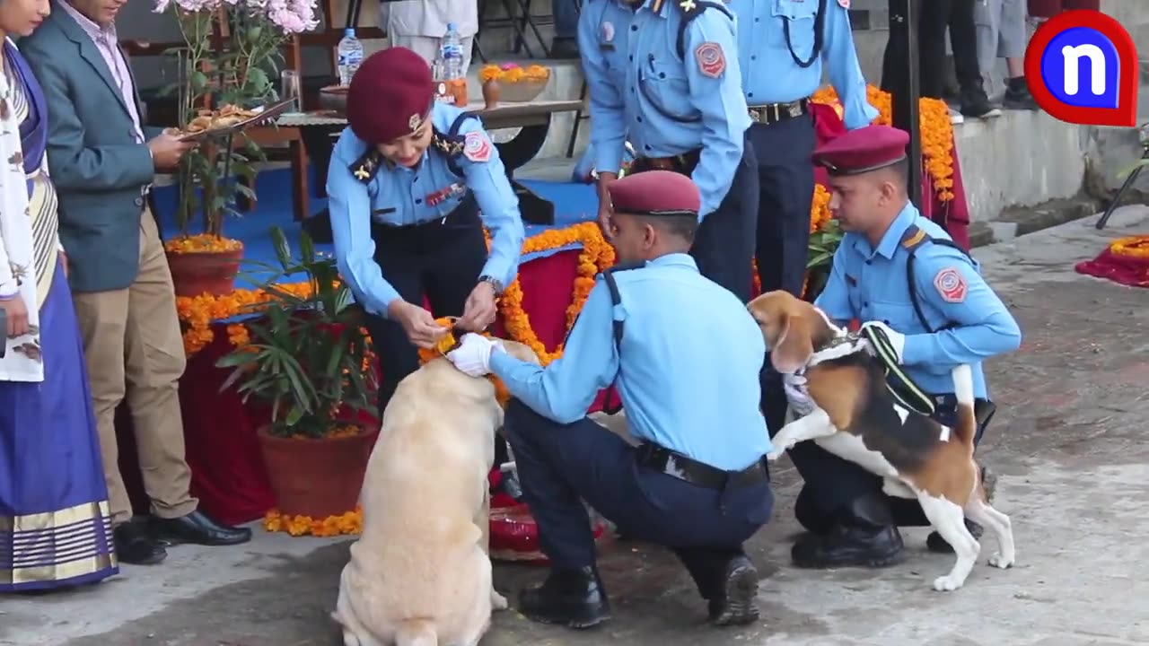 Kukur tihar 2023, Police dog training school in nepal.