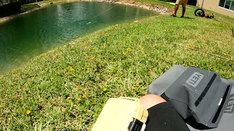 I Thought These were Pacu until I saw their Teeth! (Wild Piranha?) Fly Fishing Miami FL