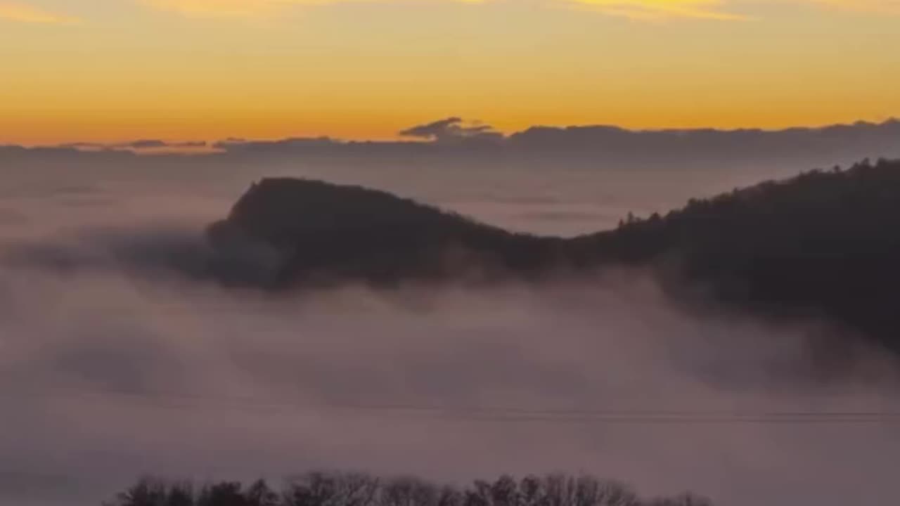 No excuss best motivation video