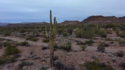 Exploring Burro Canyon