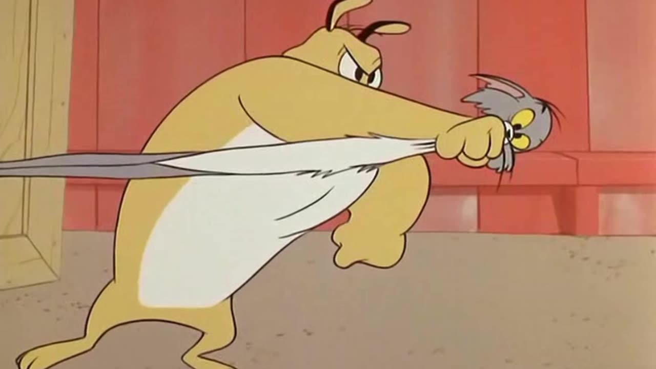 Tom&Jerry Episode Much Ado About Mousing Full Watch