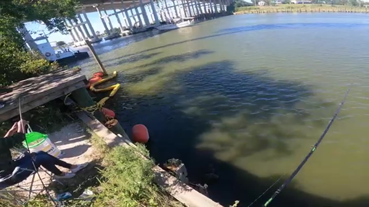 Catching SHEEPSHEAD and REDFISH at SECRET BANK FISHING SPOT by Kemah Boardwalk