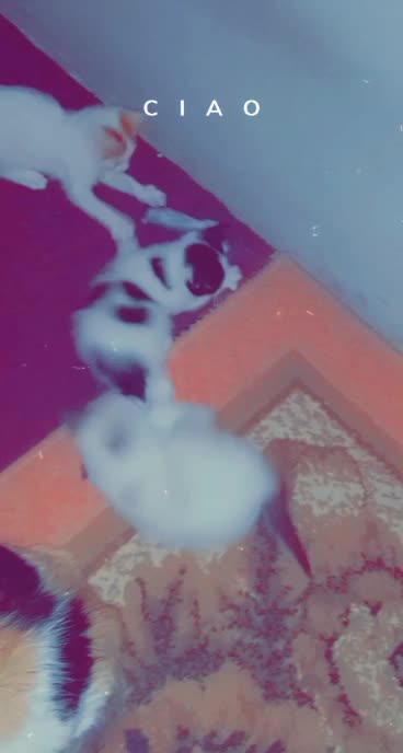 He played a game with you