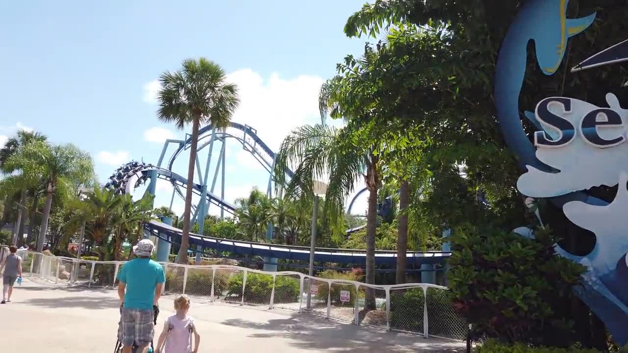 Top Things to Do at SeaWorld Orlando You Can’t Miss!