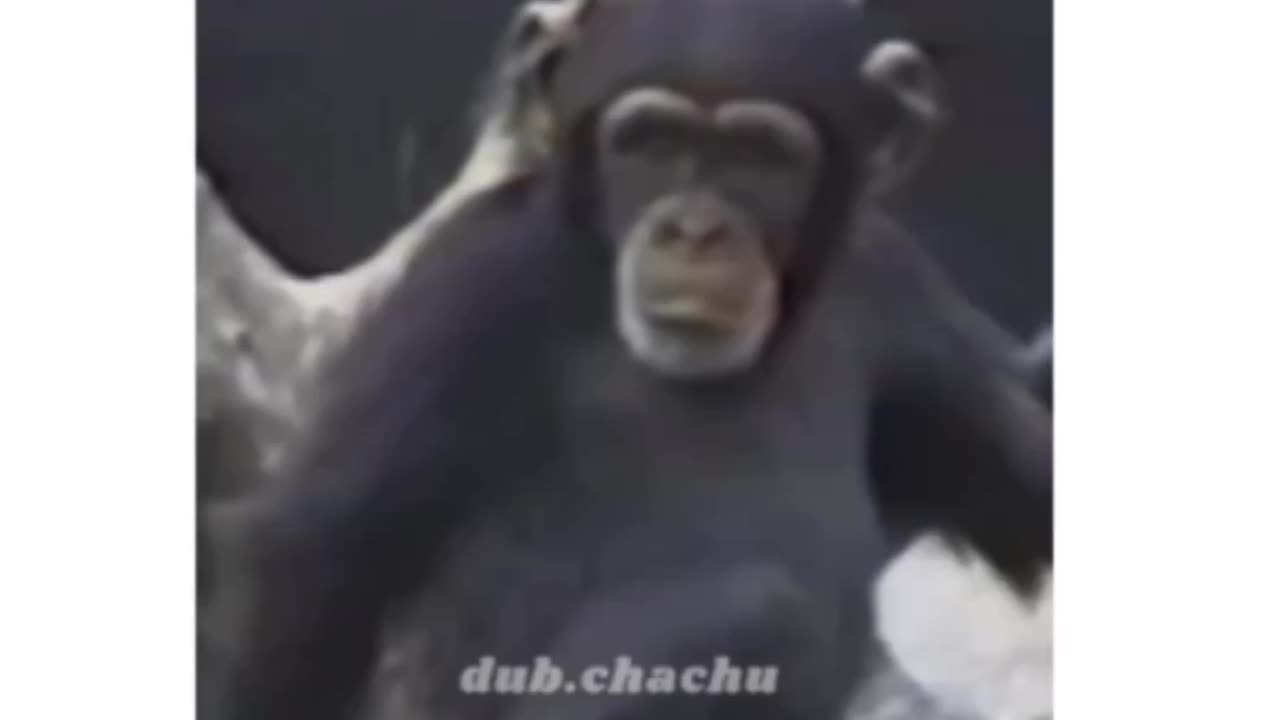 Perfume day with Alia Bhatt 😄😄