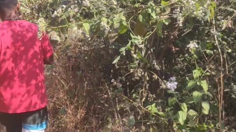 Hidden fishing site in Alibag = Maharashtra