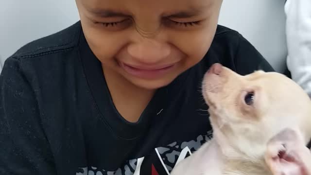 Little Boy Cries over Cute Puppy