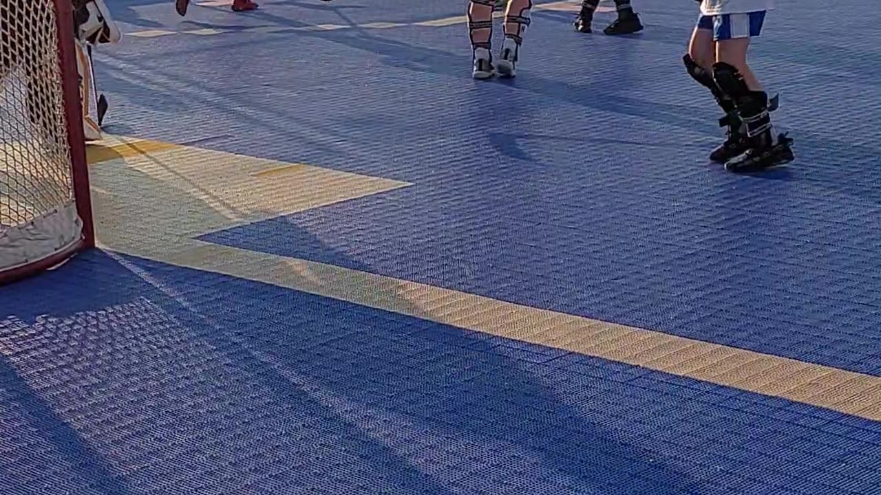 Raptors vs warriors in cranberry