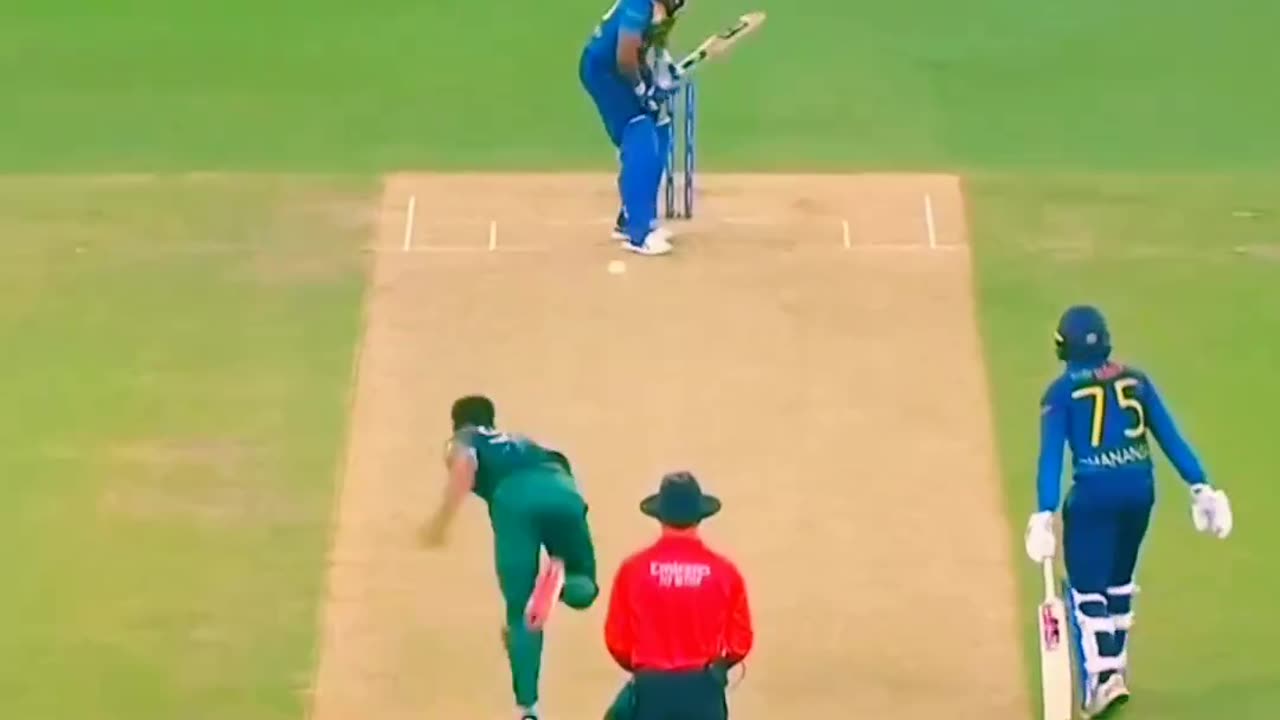 HARIS fast bowler