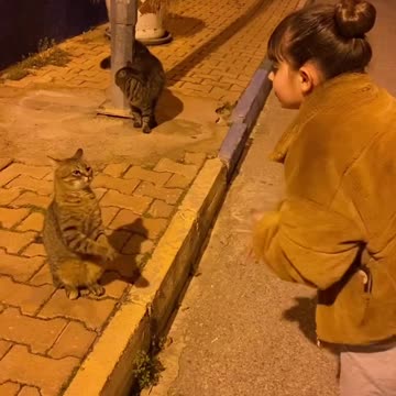 Wow cute cat 🐈 following the dance 😅 Joy Funny Factory