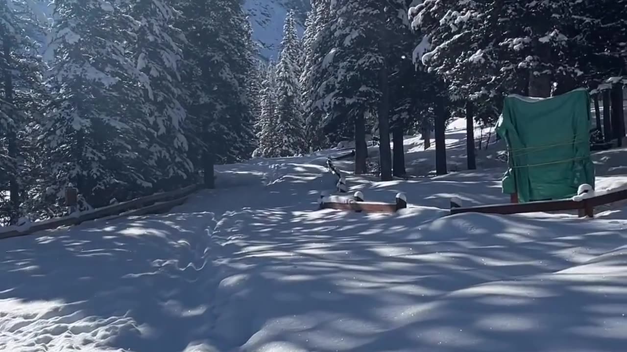 Made it to Moraine Lake after 3 hours cross-country skiing