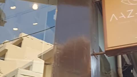 ΚΑΤΑΣΤΗΜΑ ΟΠΤΙΚΩΝ ΛΑΖΑΚΗΣ ΚΕΝΤΡΙΚΗ ΑΓΟΡΑ ΧΑΝΙΩΝ