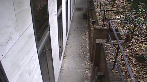 1457HSOB01GroundSoutheast_2021-01-06_13h15min11s347ms.mp4