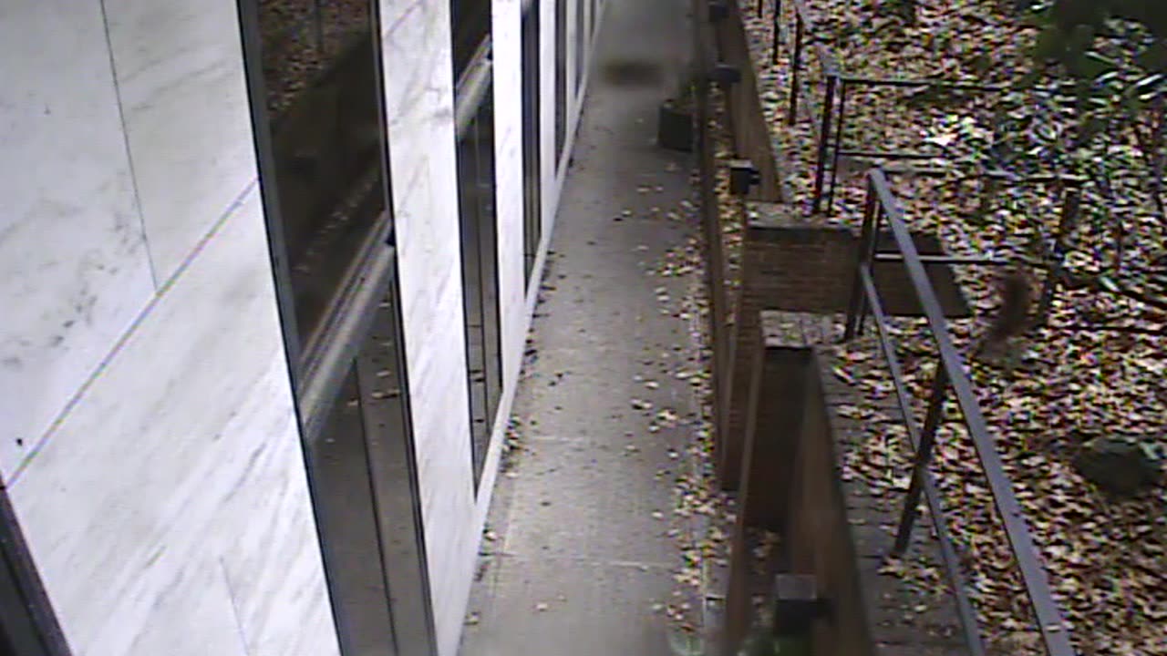 1457HSOB01GroundSoutheast_2021-01-06_13h15min11s347ms.mp4