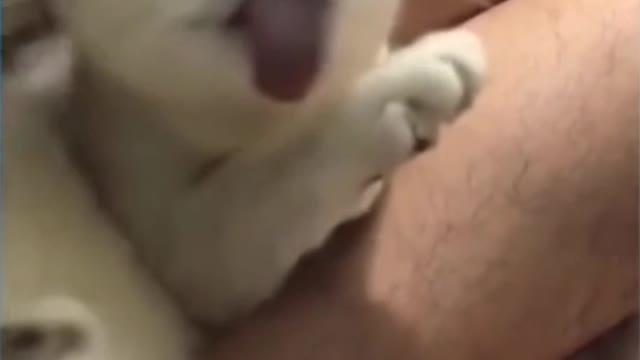 tickle tickle